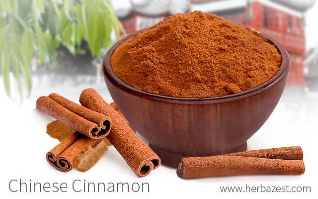 Chinese Cinnamon