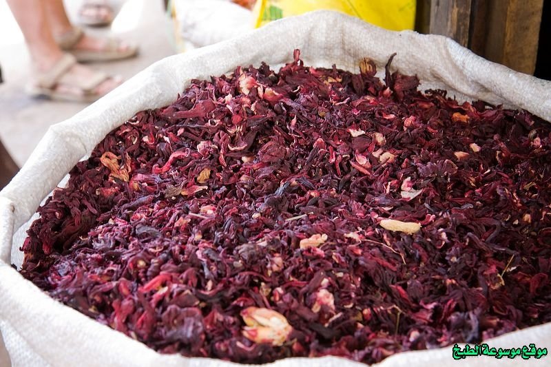 Hibiscus Flowers